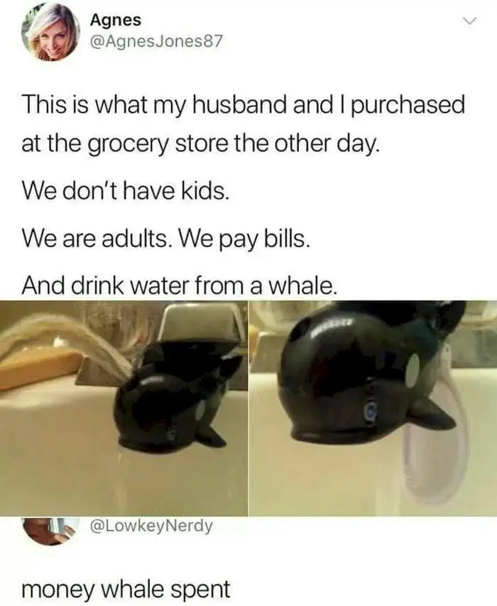 Image credit: Reddit | apolatan11