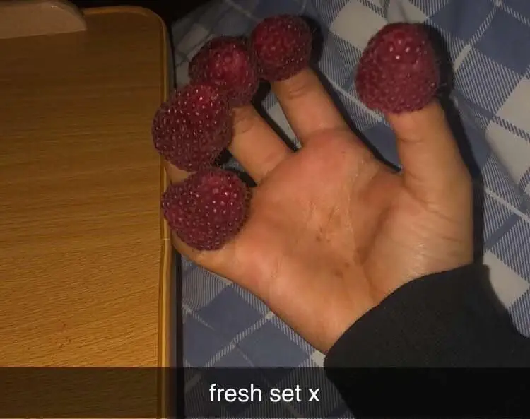 Fingers in berries (Image credit: Reddit | Spaced_Out_Guy)