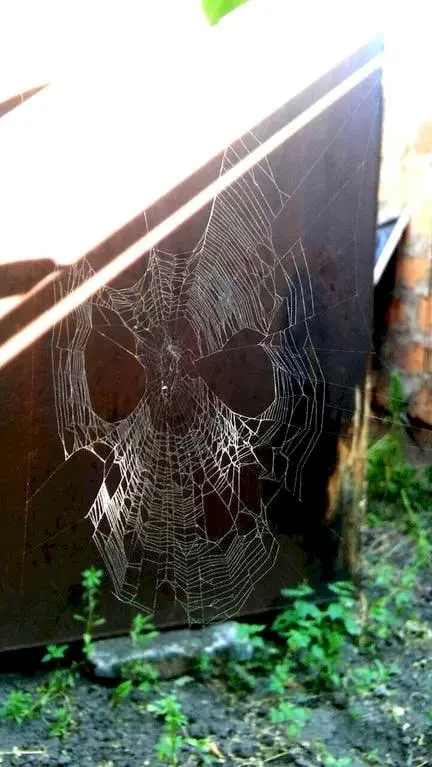 Image credit: Reddit | generatedmax