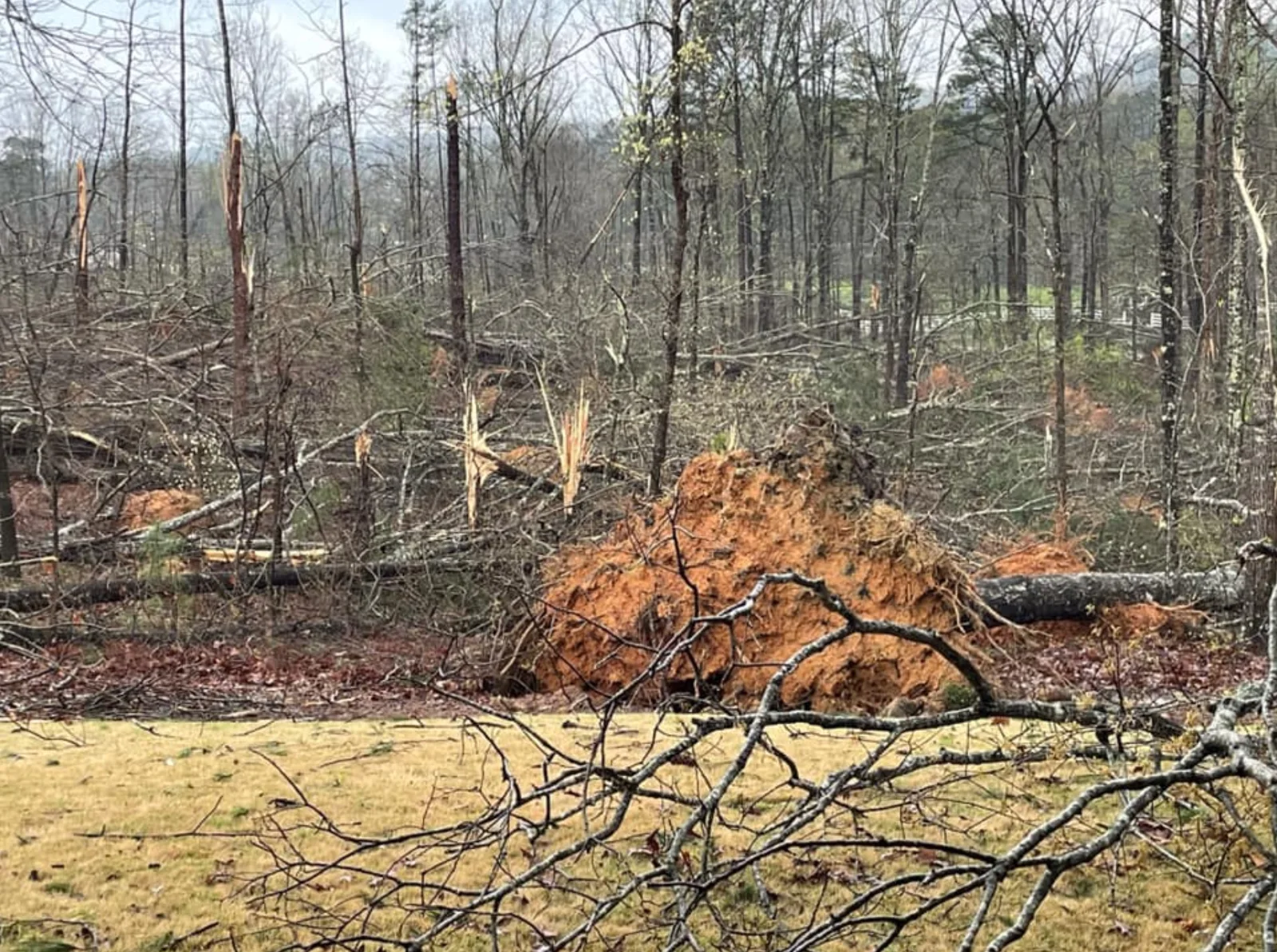 Image credit: Twitter | @spann