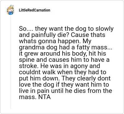 Image credit: LittleRedCarnation | LittleRedCarnation