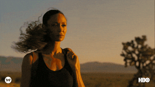 Image credit: Giphy | Westworld HBO