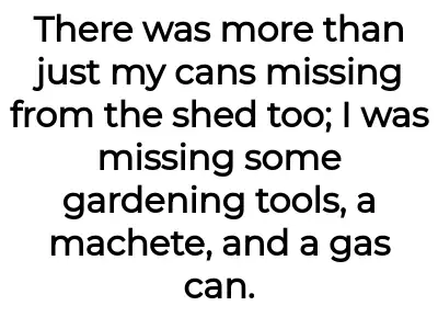 Image credit: yam-throwaway | yam-throwaway