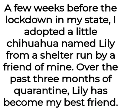Image credit: lilypupper-aita | lilypupper-aita