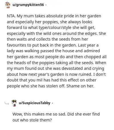 Image credit: grumpykitten56 | grumpykitten56
