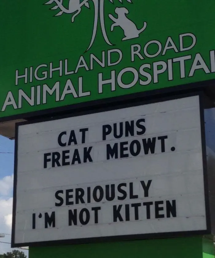 Image credit: Facebook | Highland Road Animal Hospital
