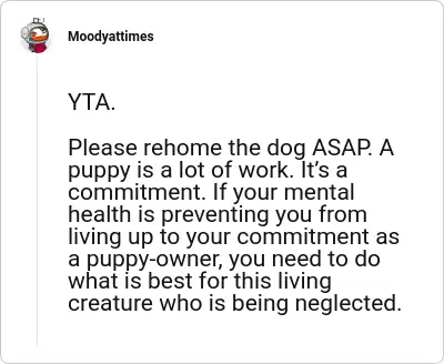 Image credit: Moodyattimes | Moodyattimes