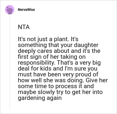 Image credit: NerveWise | NerveWise