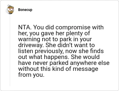 Image credit: Bonecup | Bonecup