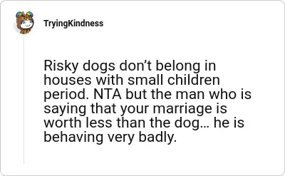 Image credit: TryingKindness | TryingKindness