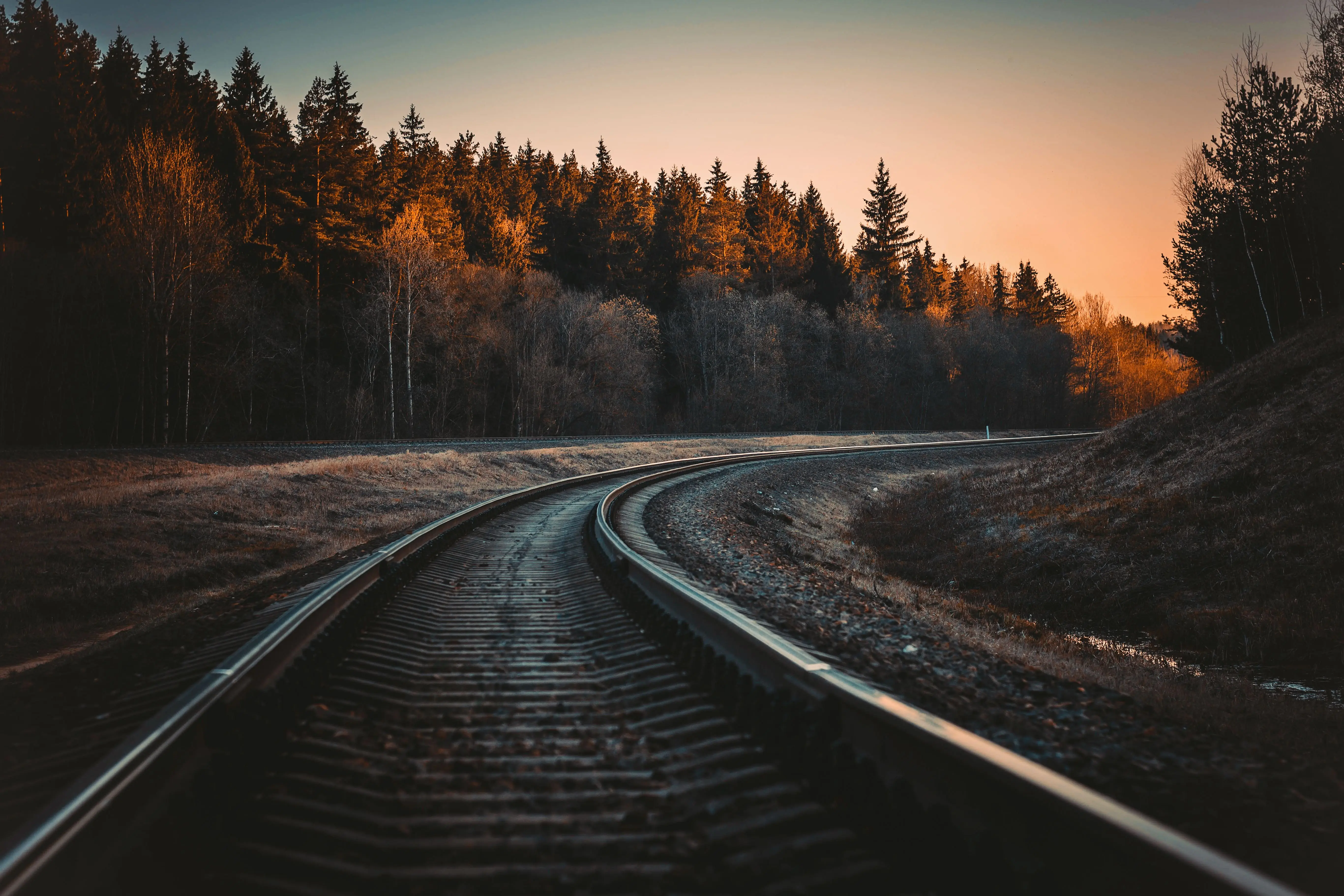 Image credit: Unsplash | Irina Iriser