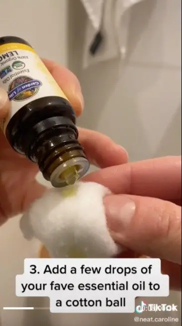 Image credit: TiKTok | TikTok l neat.caroline