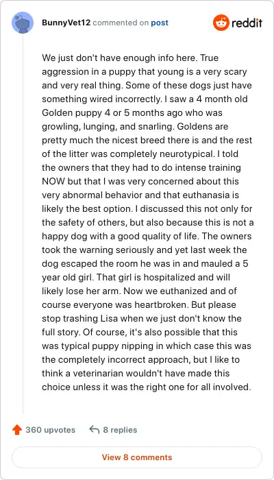 Image credit: BunnyVet12 | BunnyVet12