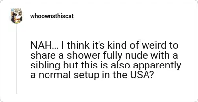 Image credit: whoownsthiscat | whoownsthiscat