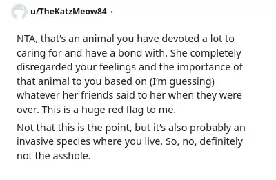 Image credit: TheKatzMeow84 | TheKatzMeow84