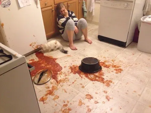 Image credit: Tumblr | bunnyfood