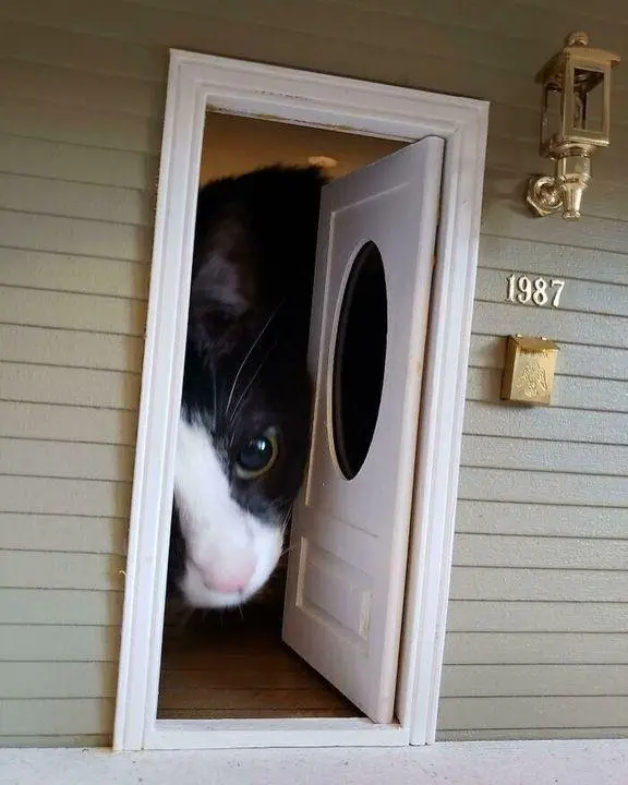 Image credit: Imgur | sylvaGemDriver