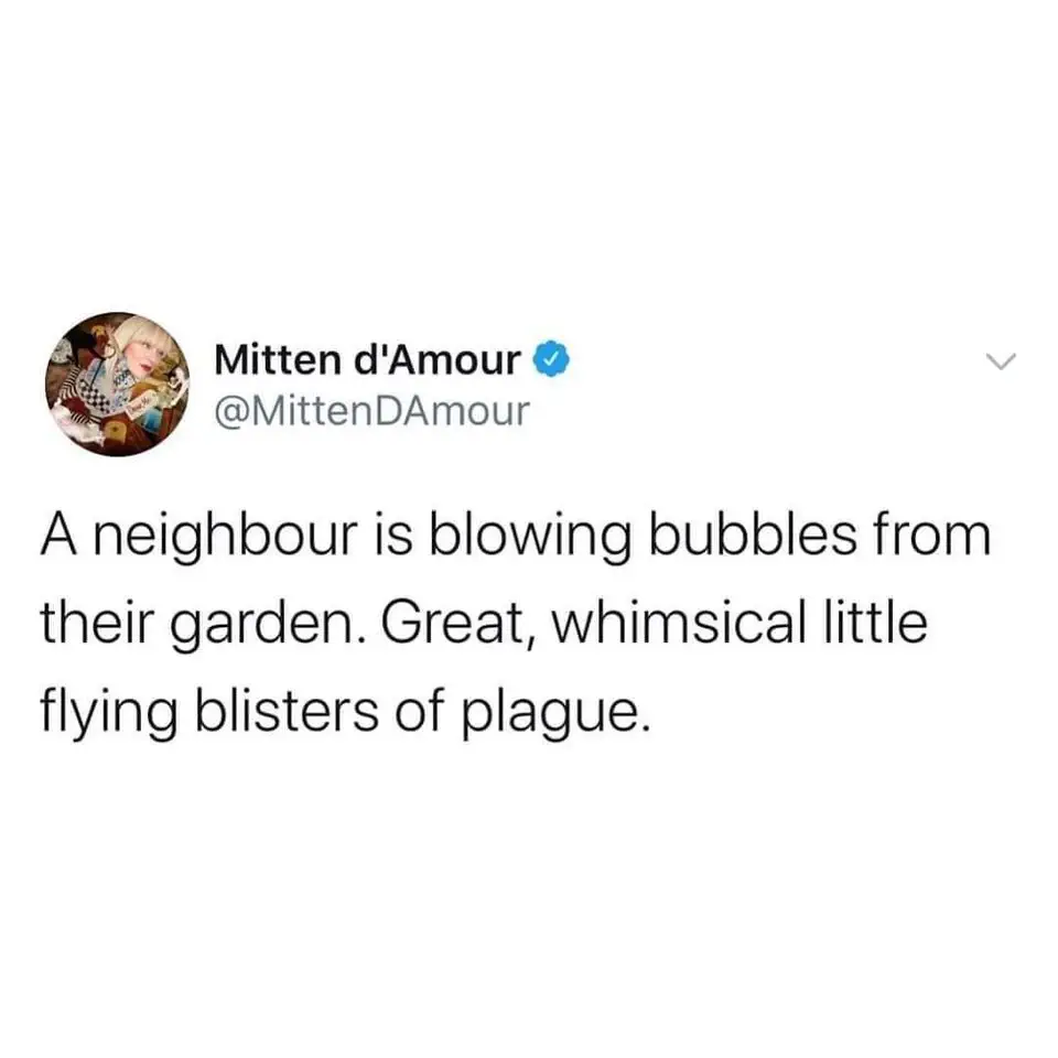 Image credit: Twitter | MittenDAmour