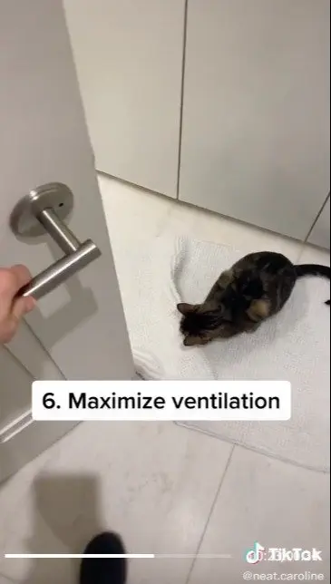 Image credit: TikTok | TikTok l neat.caroline