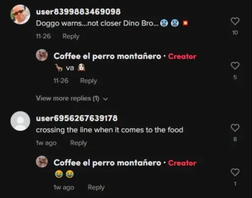 Image credit: TikTok | @coffeeelperromontanero