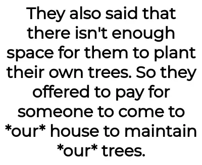 Image credit: bloomedtomb | bloomedtomb