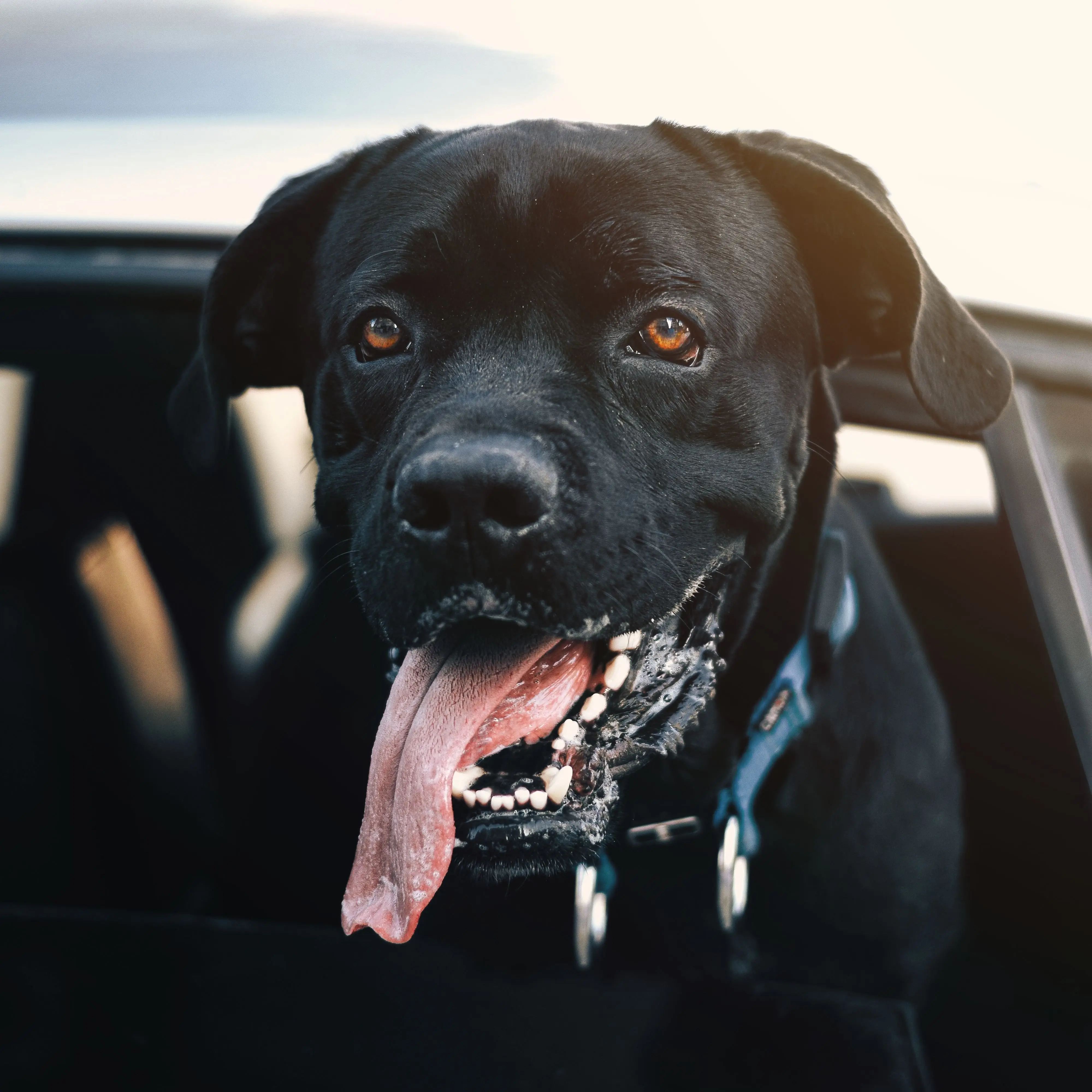 Image credit: Unsplash | ARTISTIC FRAMES