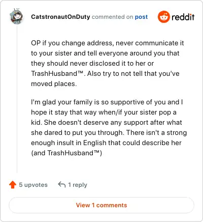 Image credit: CatstronautOnDuty | CatstronautOnDuty