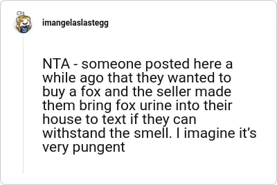 Image credit: imangelaslastegg | imangelaslastegg