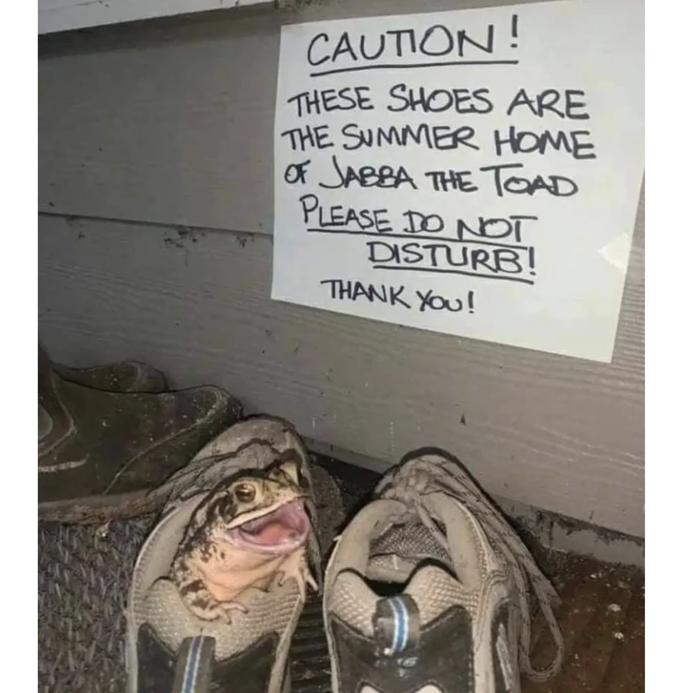 Image credit: Reddit | ElonMuch
