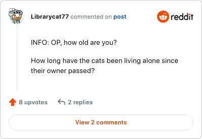 Image credit: Librarycat77 | Librarycat77