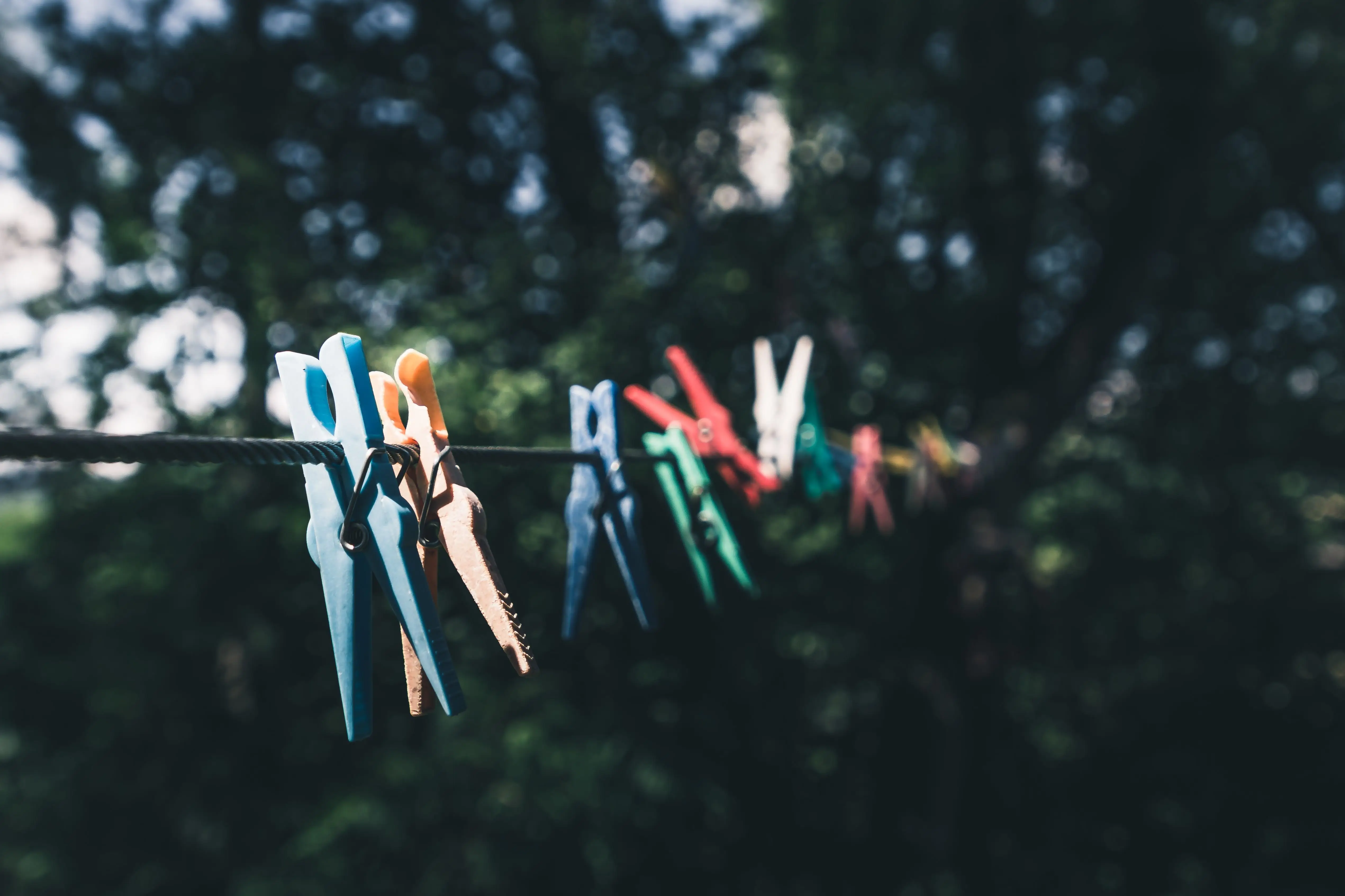 Image credit: Unsplash | Quaritsch Photography