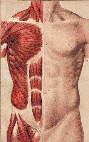 Image credit: Giphy | RetroCollage