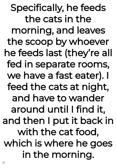Image credit: annabananakittycat | annabananakittycat