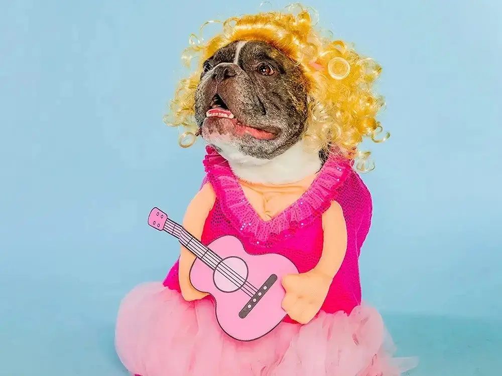 Image credit: Amazon | Doggy Parton
