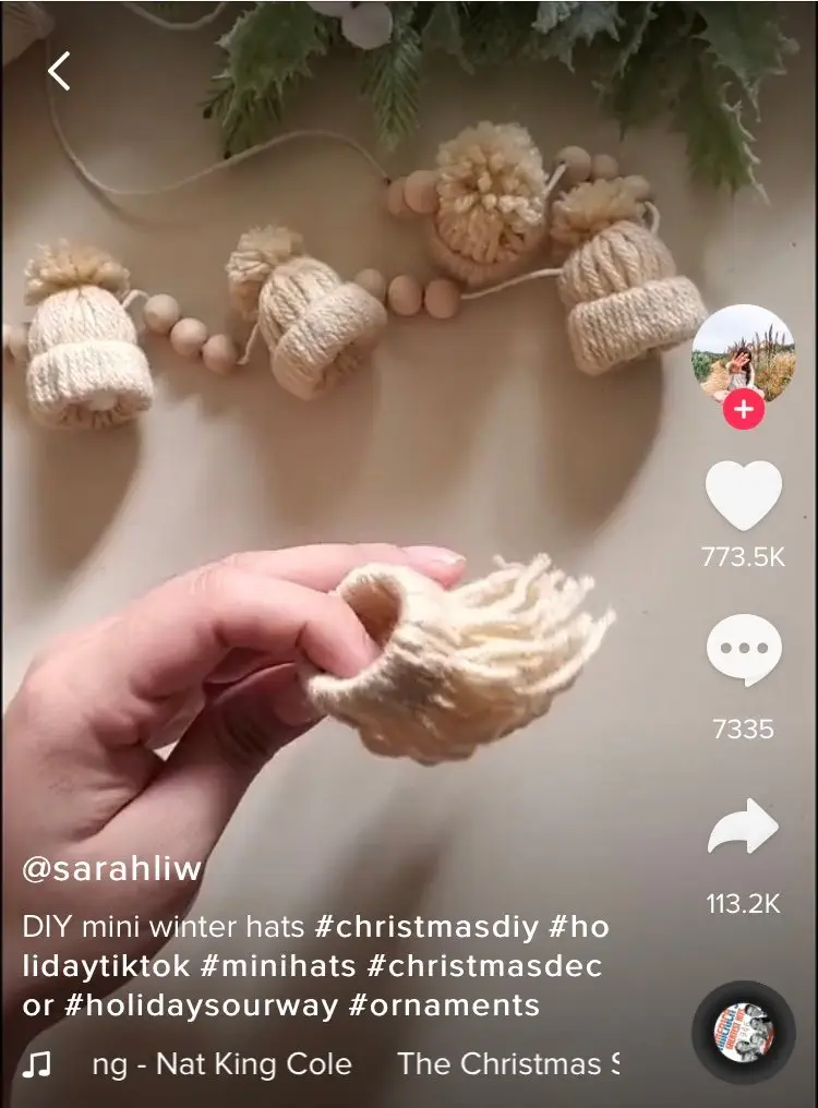 Image credit: TikTok l @sarahliw