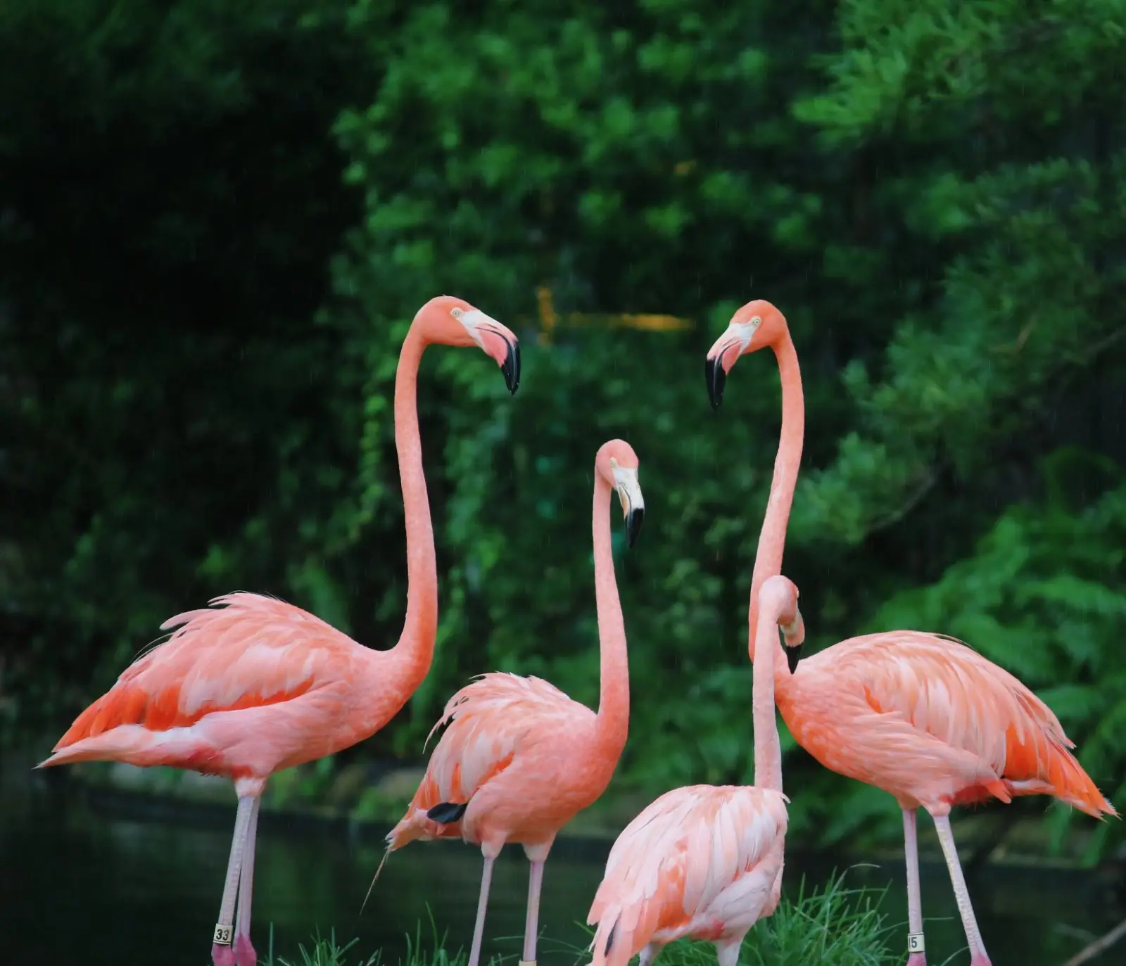 Image credit: Unsplash | Sharisse Bullock