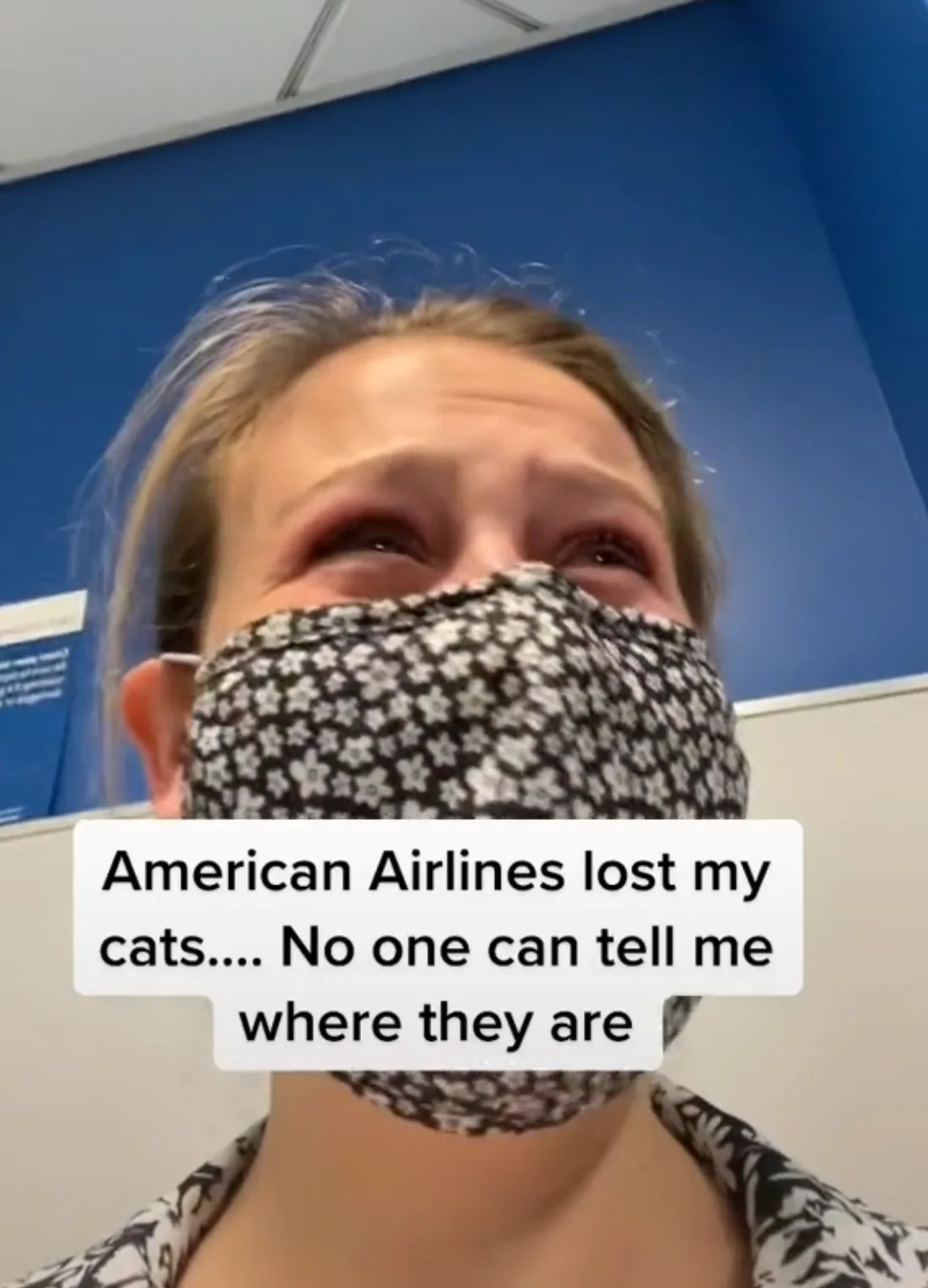 Image credit: TikTok | @arieldale