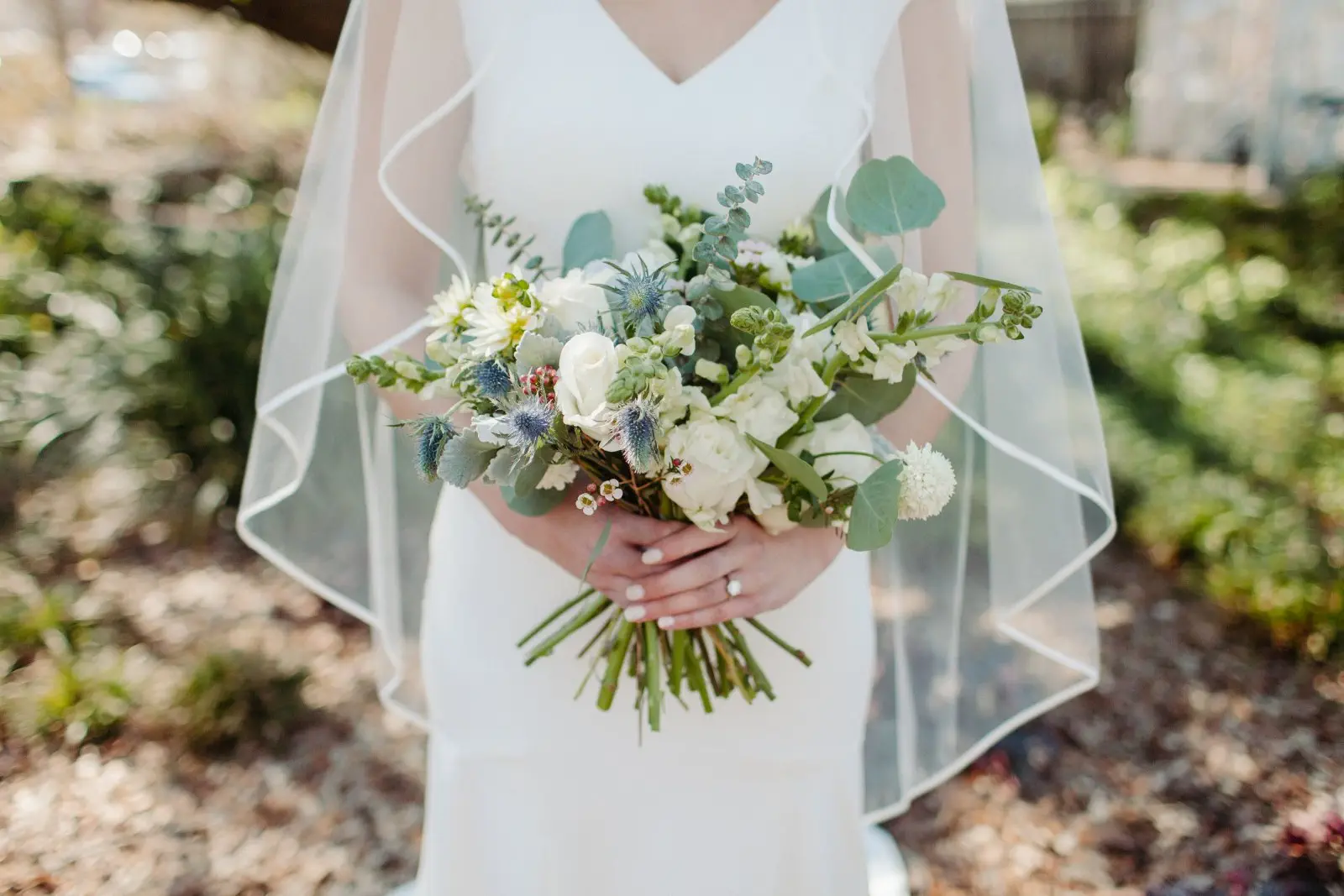 Image credit: Unsplash | nikki gibson