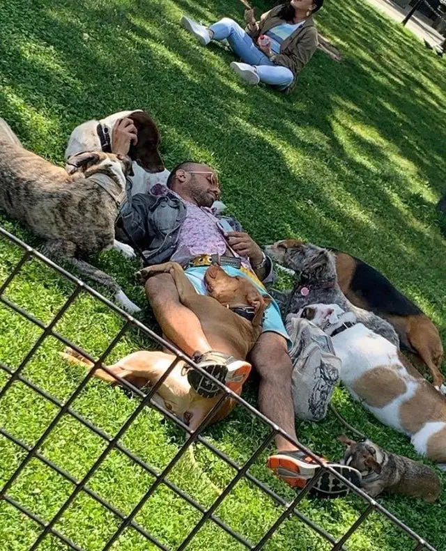 Image credit: Reddit | Gimme_the_dietz