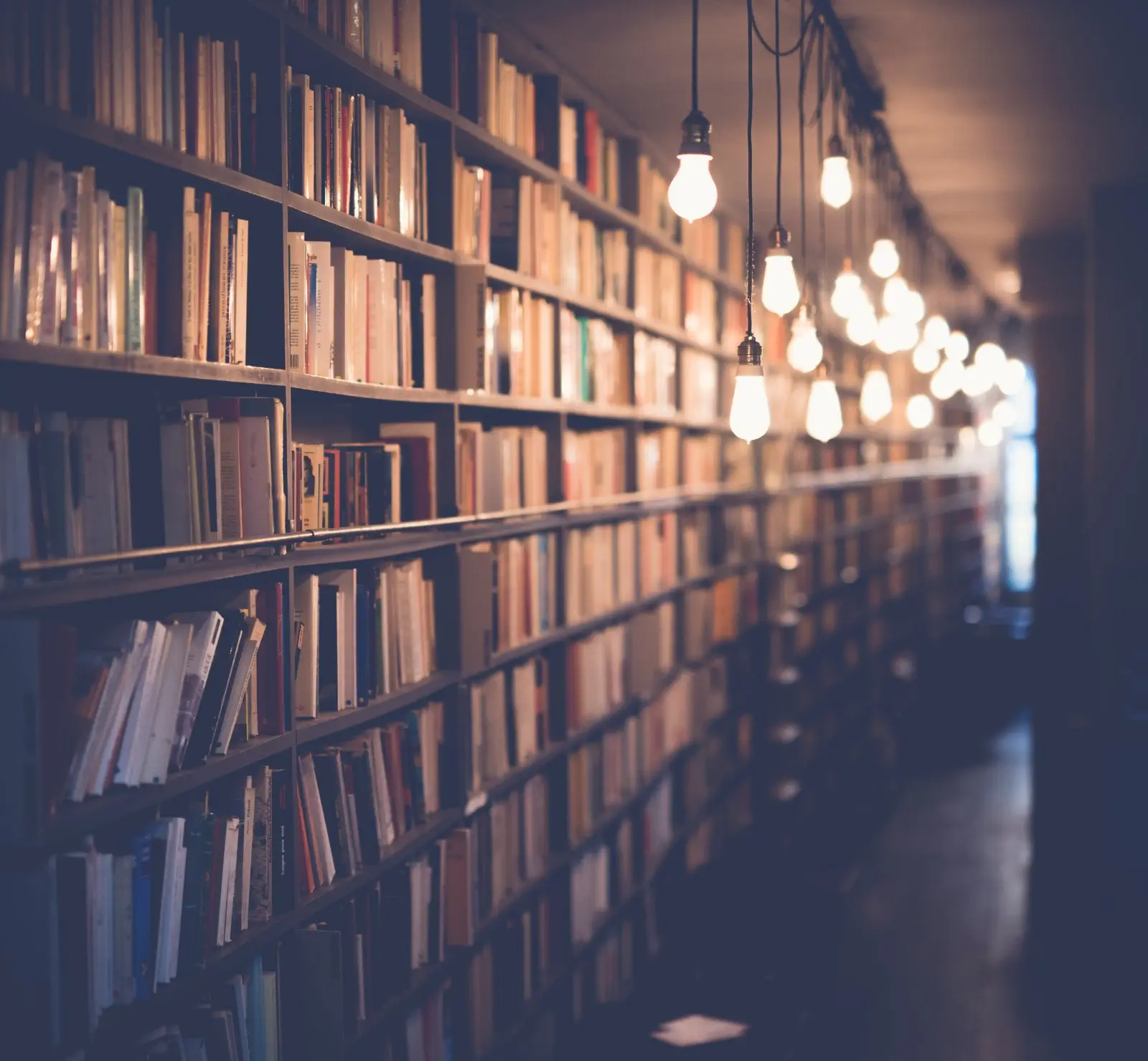 Image credit: Unsplash | Janko Ferlič - @specialdaddy