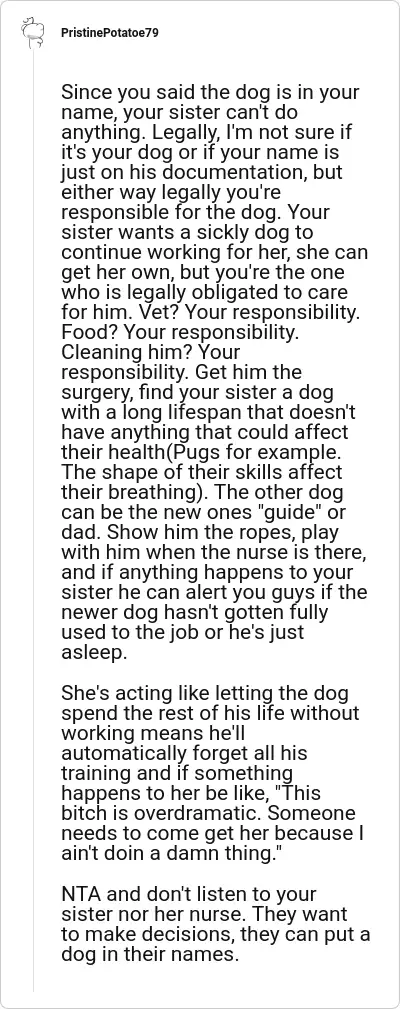 Image credit: PristinePotatoe79 | PristinePotatoe79