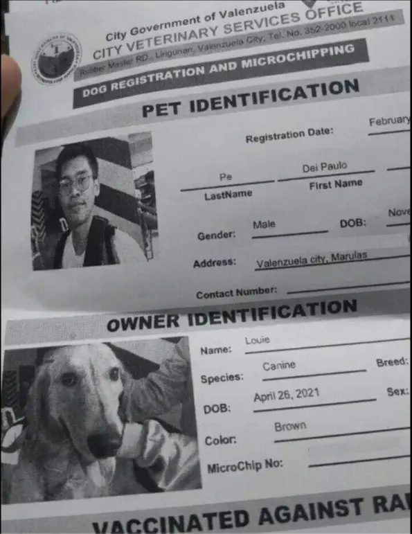 Image credit: reddit | fkasumim