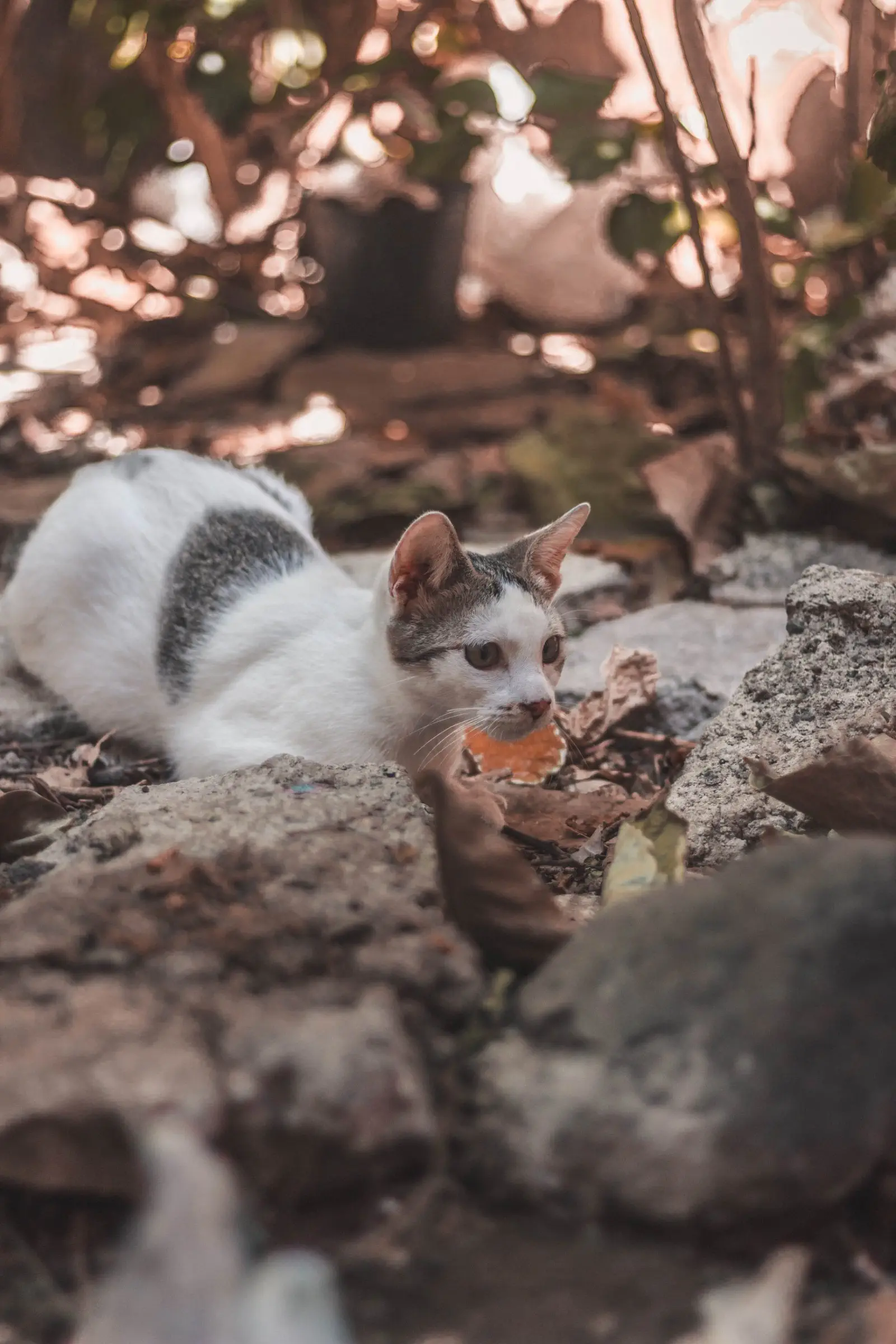 Image credit: Unsplash | Amrit Sangar