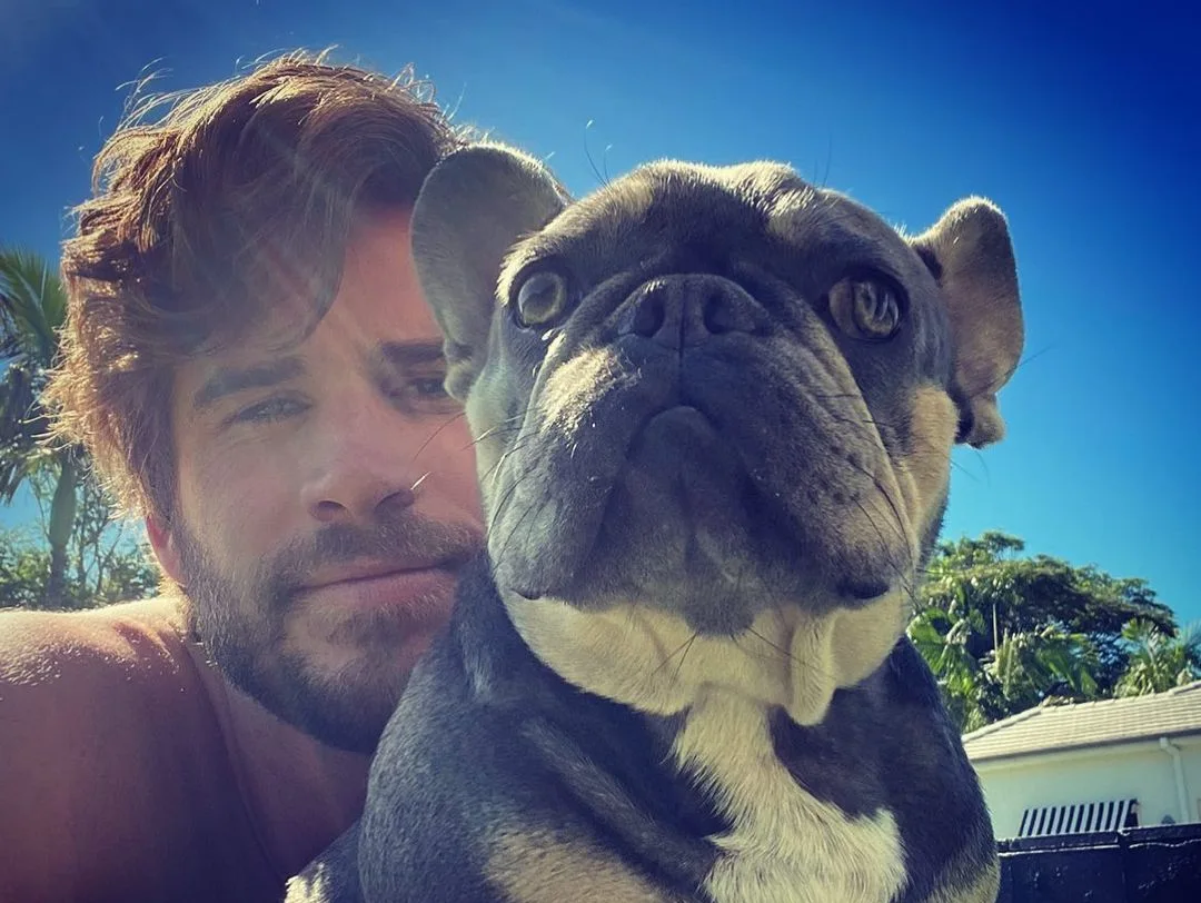 Image credit: Instagram | @liamhemsworth