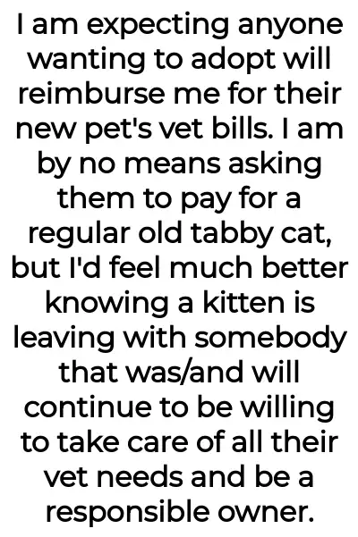Image credit: catladyaita | catladyaita