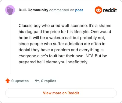 Image credit: Dull-Community | Dull-Community