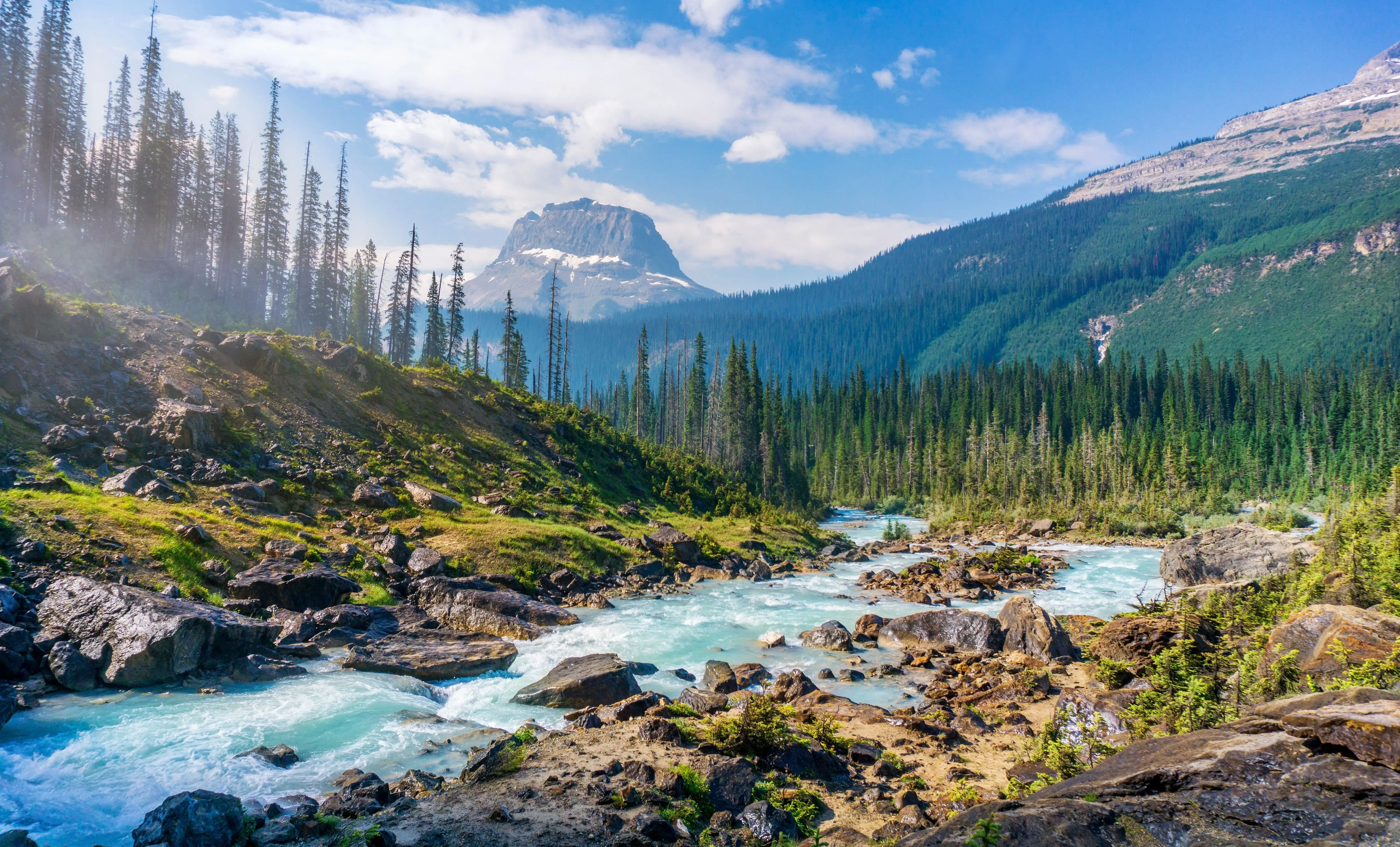Image credit: Unsplash | Hendrik Cornelissen