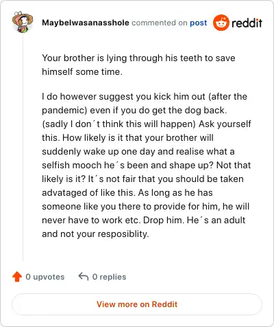 Image credit: MaybeIwasanasshole | MaybeIwasanasshole