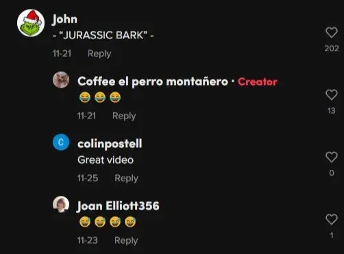Image credit: TikTok | @coffeeelperromontanero