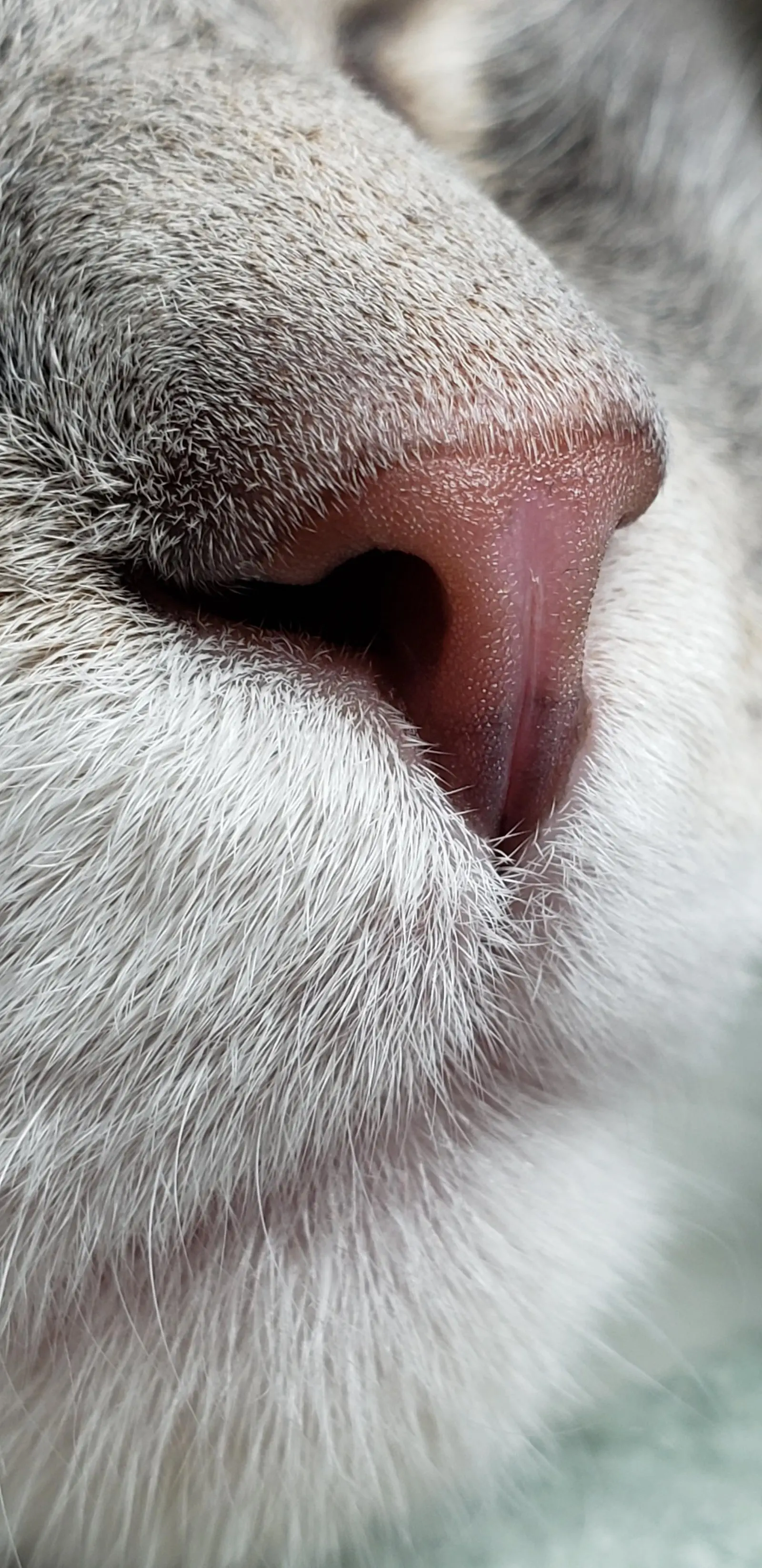 Image credit: reddit | Milkman99614
